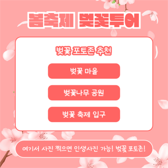 봄축제 벚꽃투어 (카드뉴스)