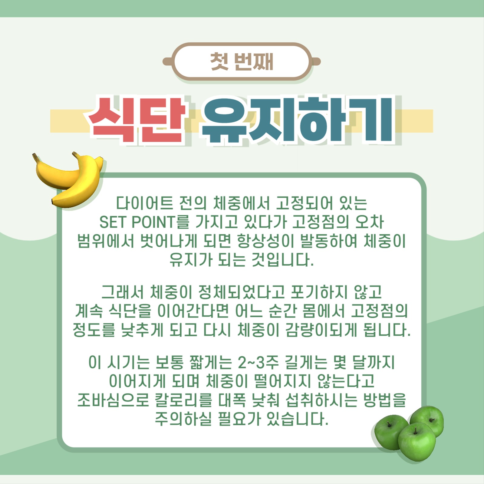 다이어트 정체기 극복