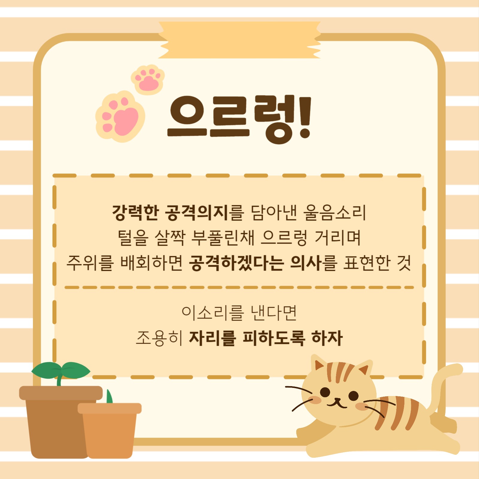 고양이 언어 완벽정리 카드뉴스