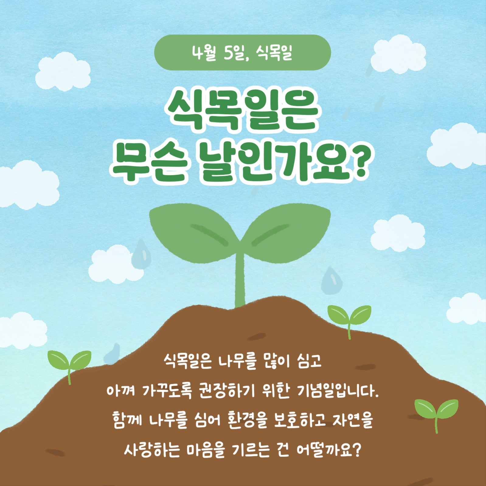 식목일의 모든 것 카드뉴스