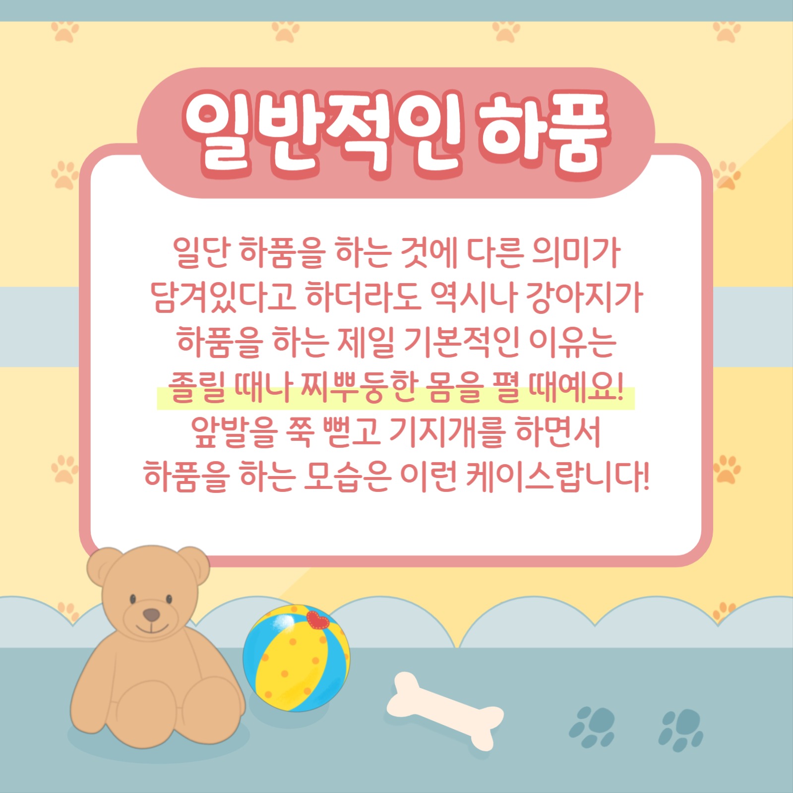 강아지 하품 알기