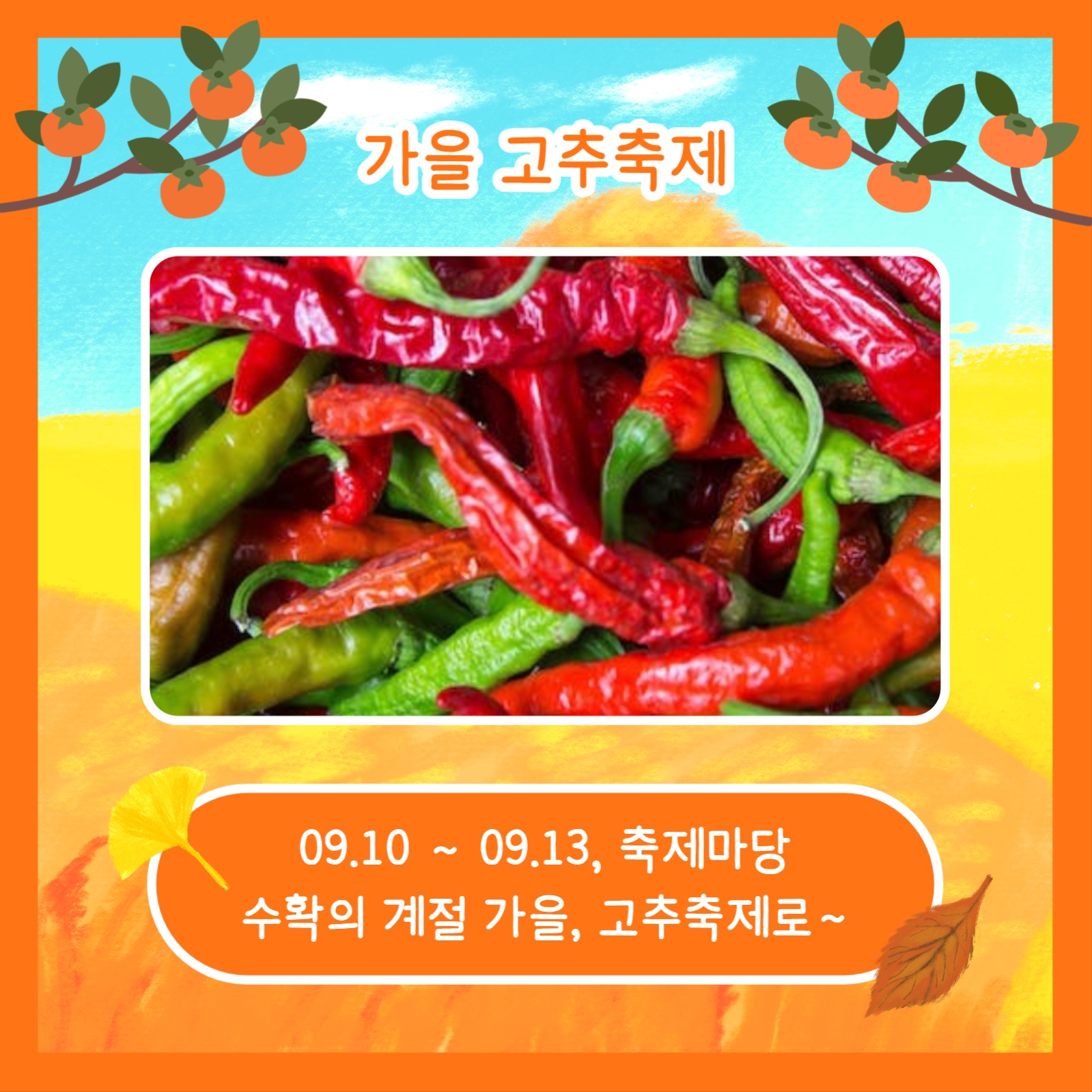 가을축제 모아보기 (카드뉴스)