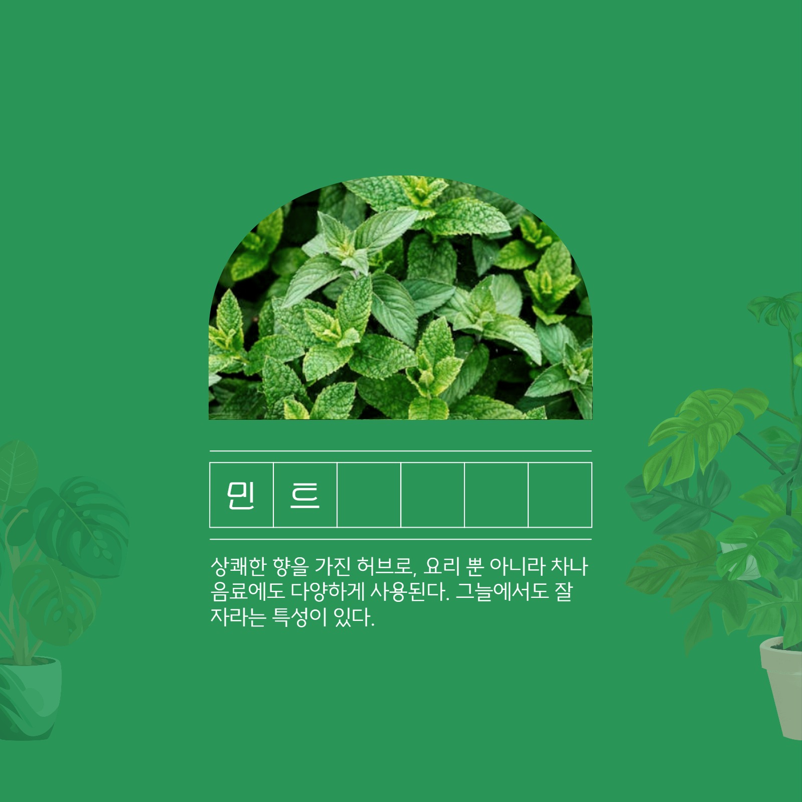 식목일 기념 카드뉴스