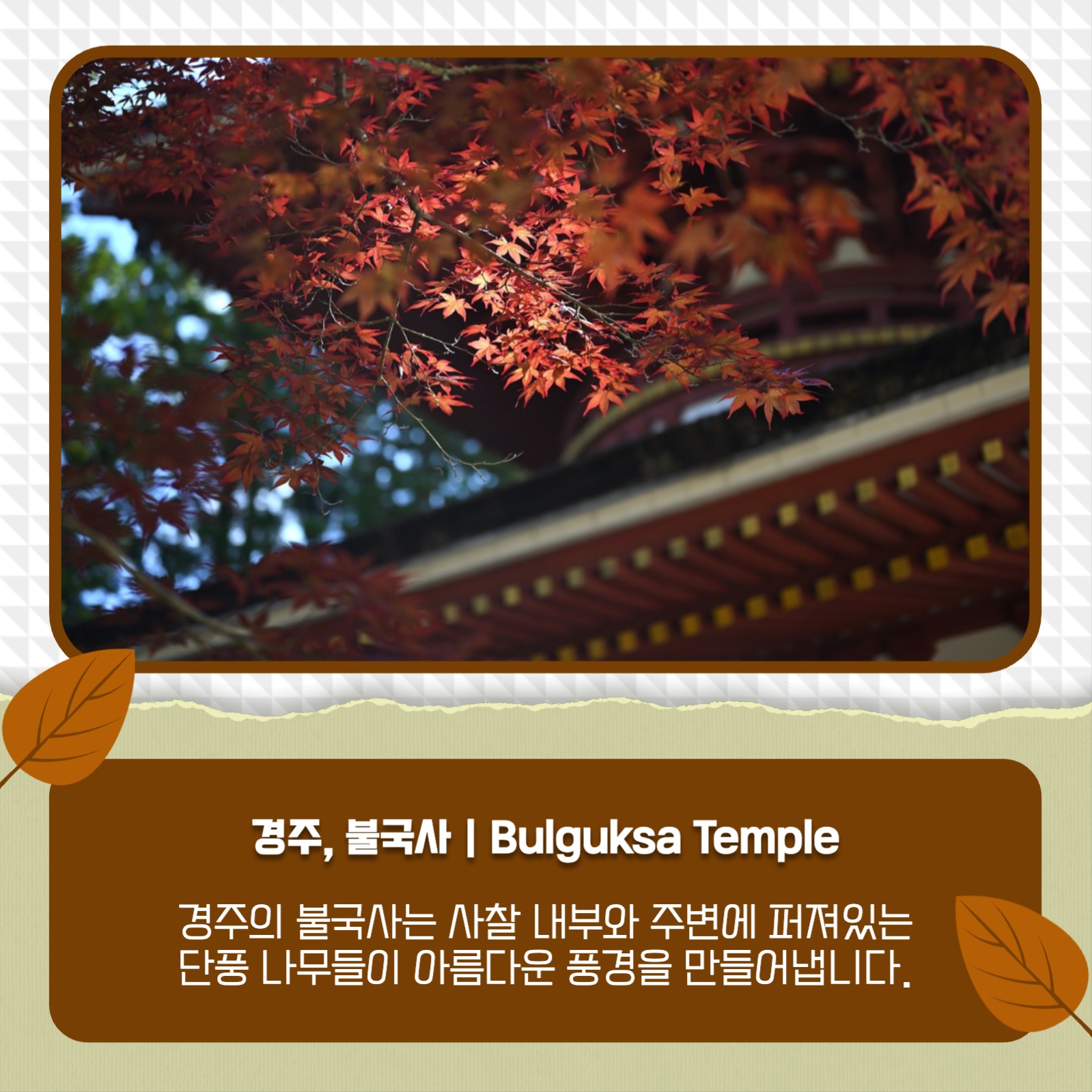 가을 여행지 추천 카드뉴스