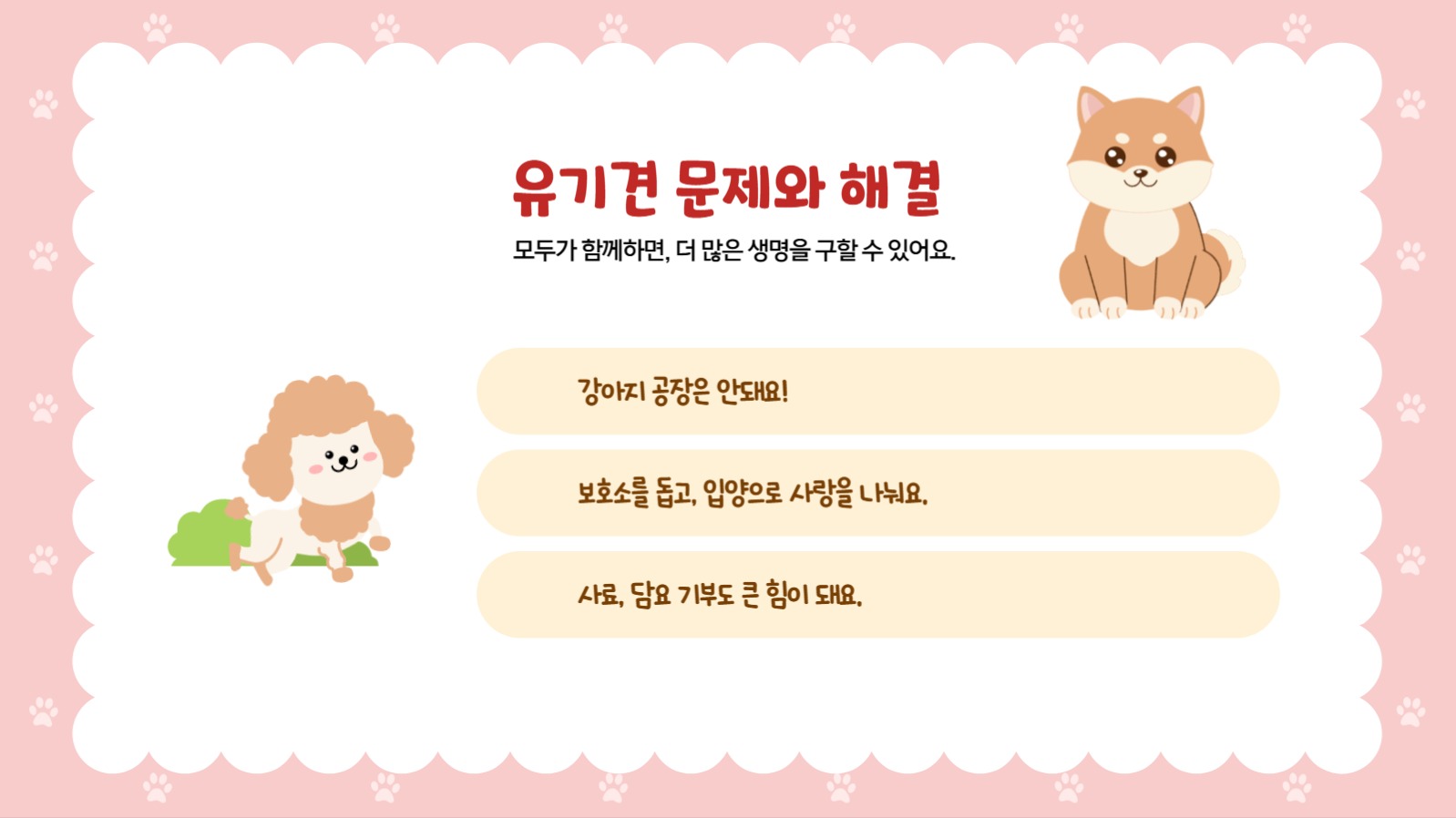 국제 강아지의날 행사