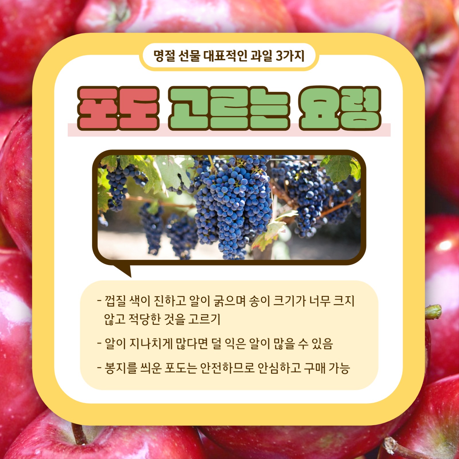 과일 고르는 요령