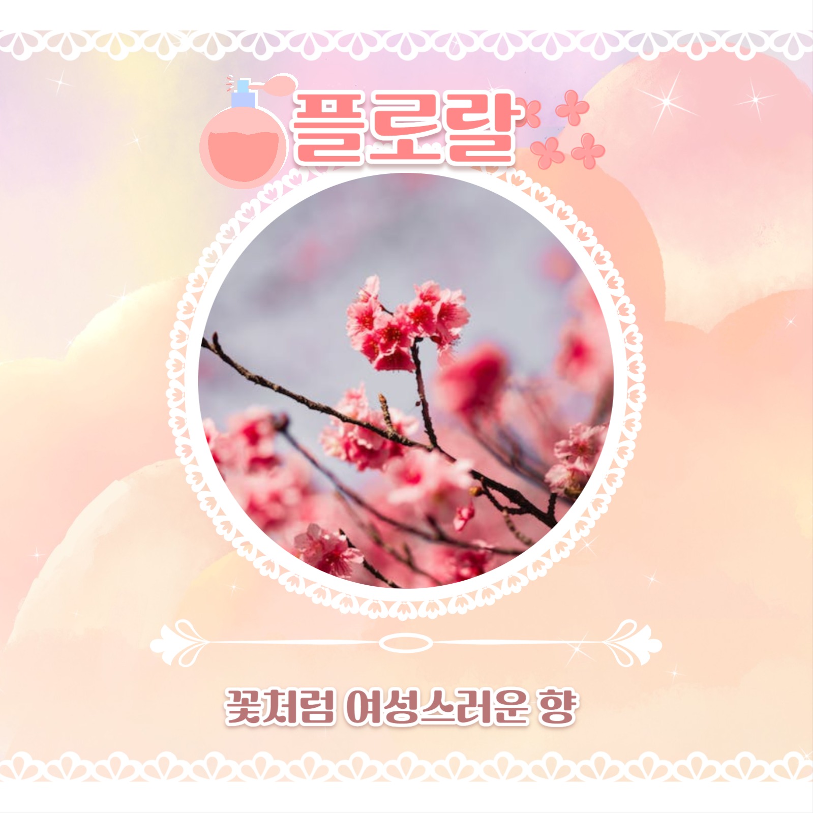 섬유 향수 추천 카드뉴스