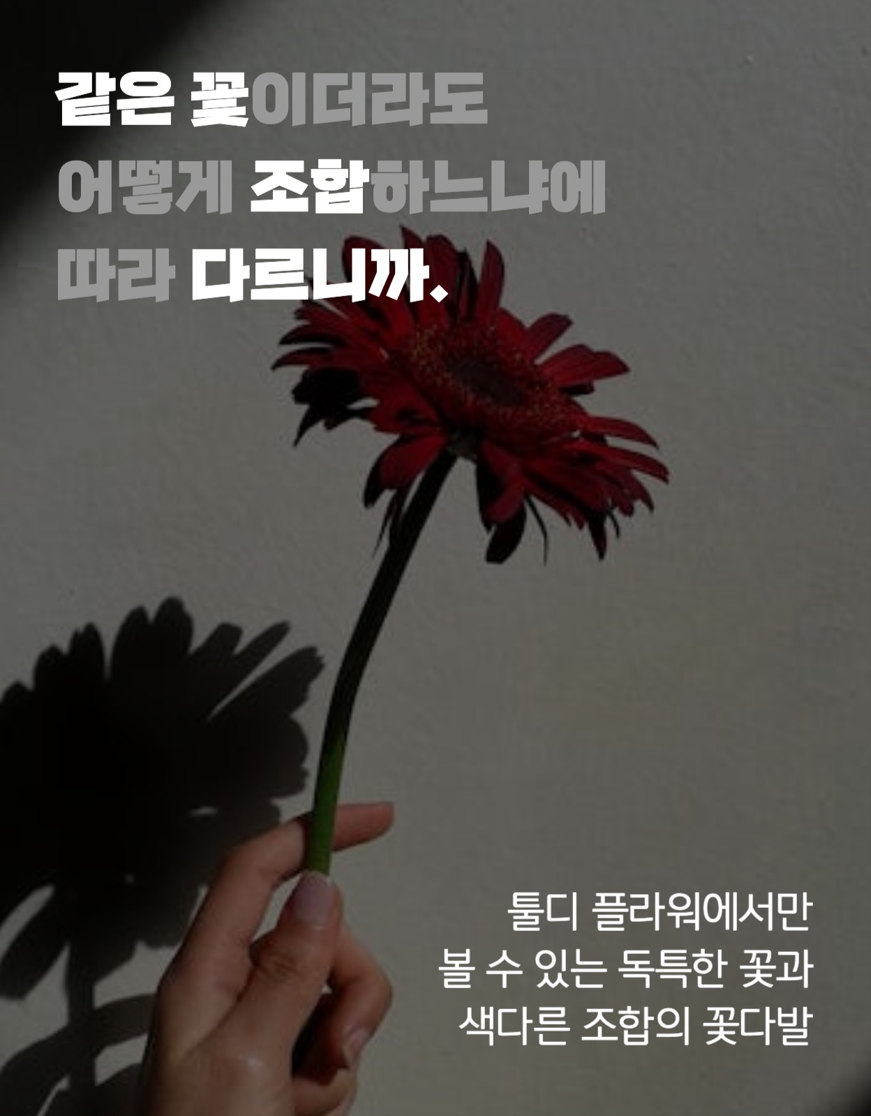 꽃 정기구독 상세페이지