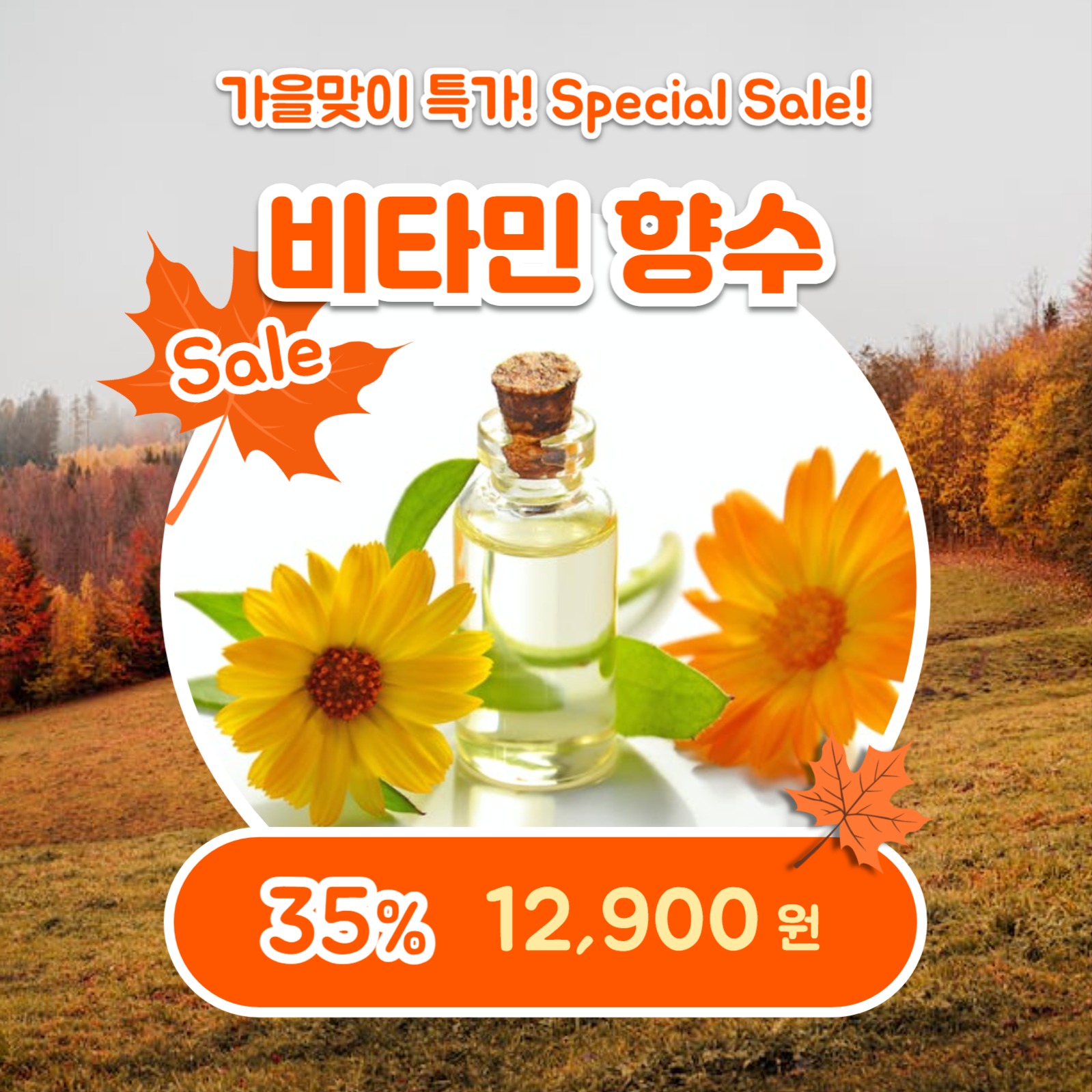 가을맞이 특별할인 (카드뉴스)