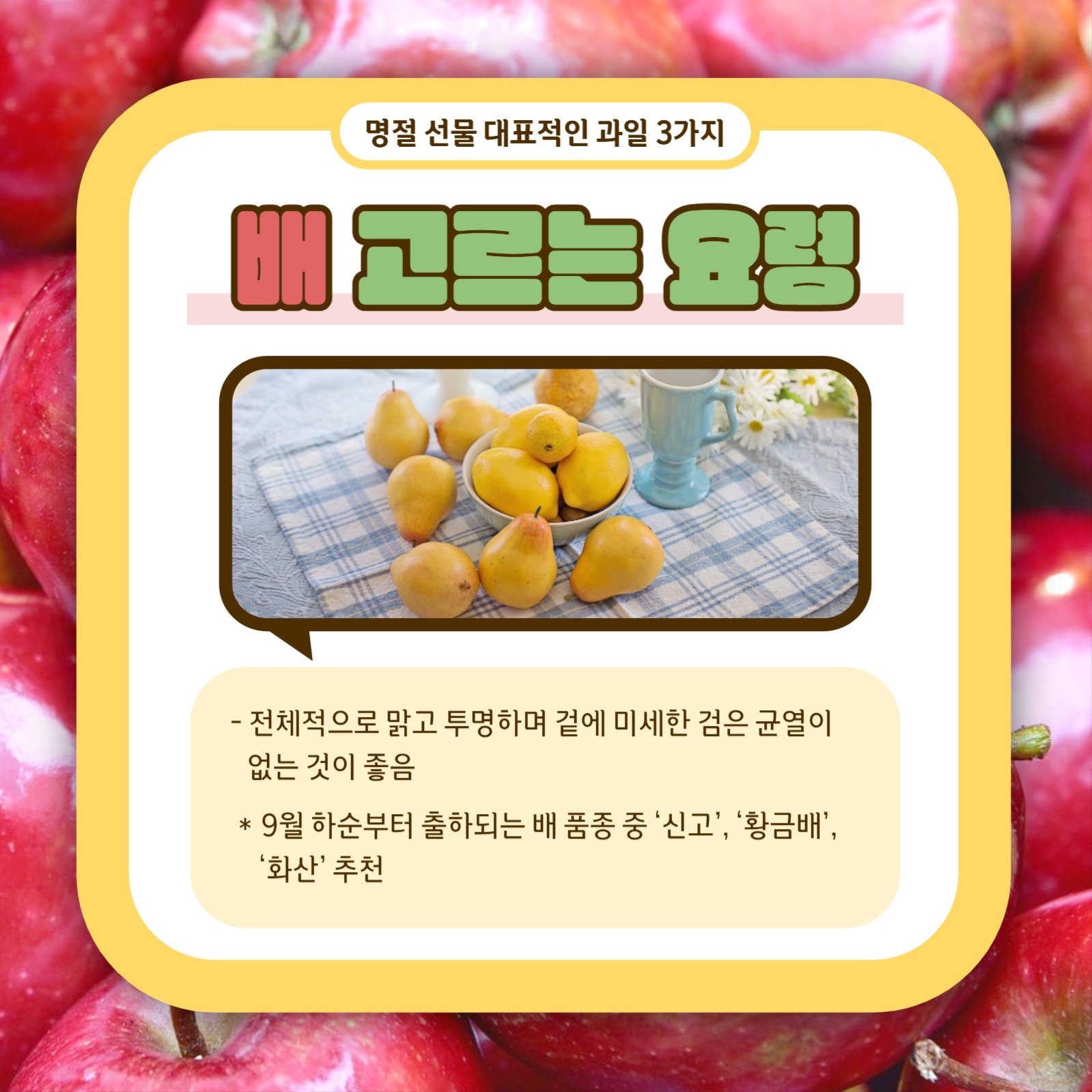 과일 고르는 요령