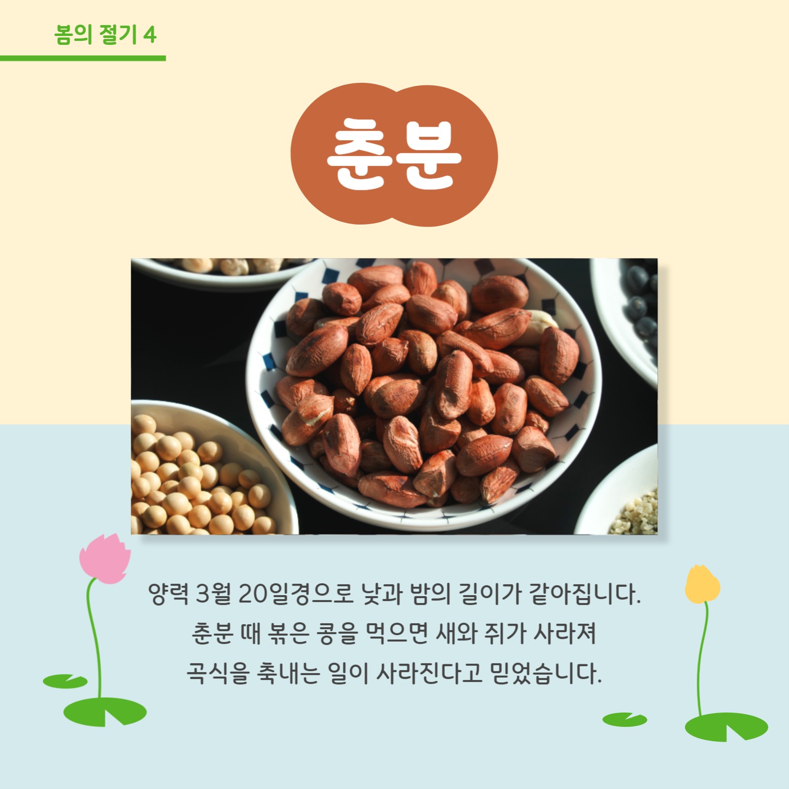 봄의 절기 알아보기 카드뉴스