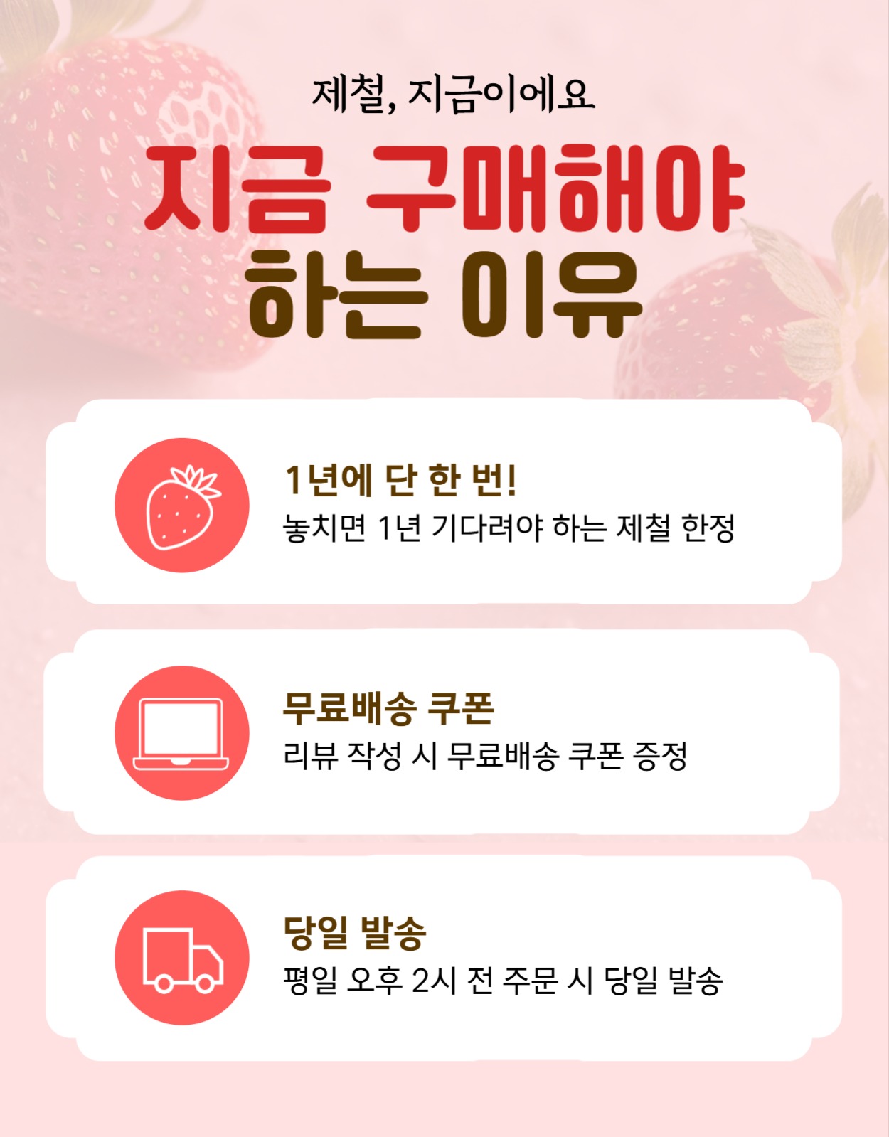 지금 딴 딸기 오늘 배송