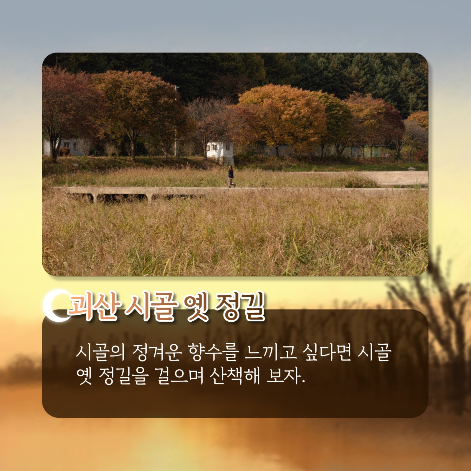 가을 산책 추천 코스 카드뉴스