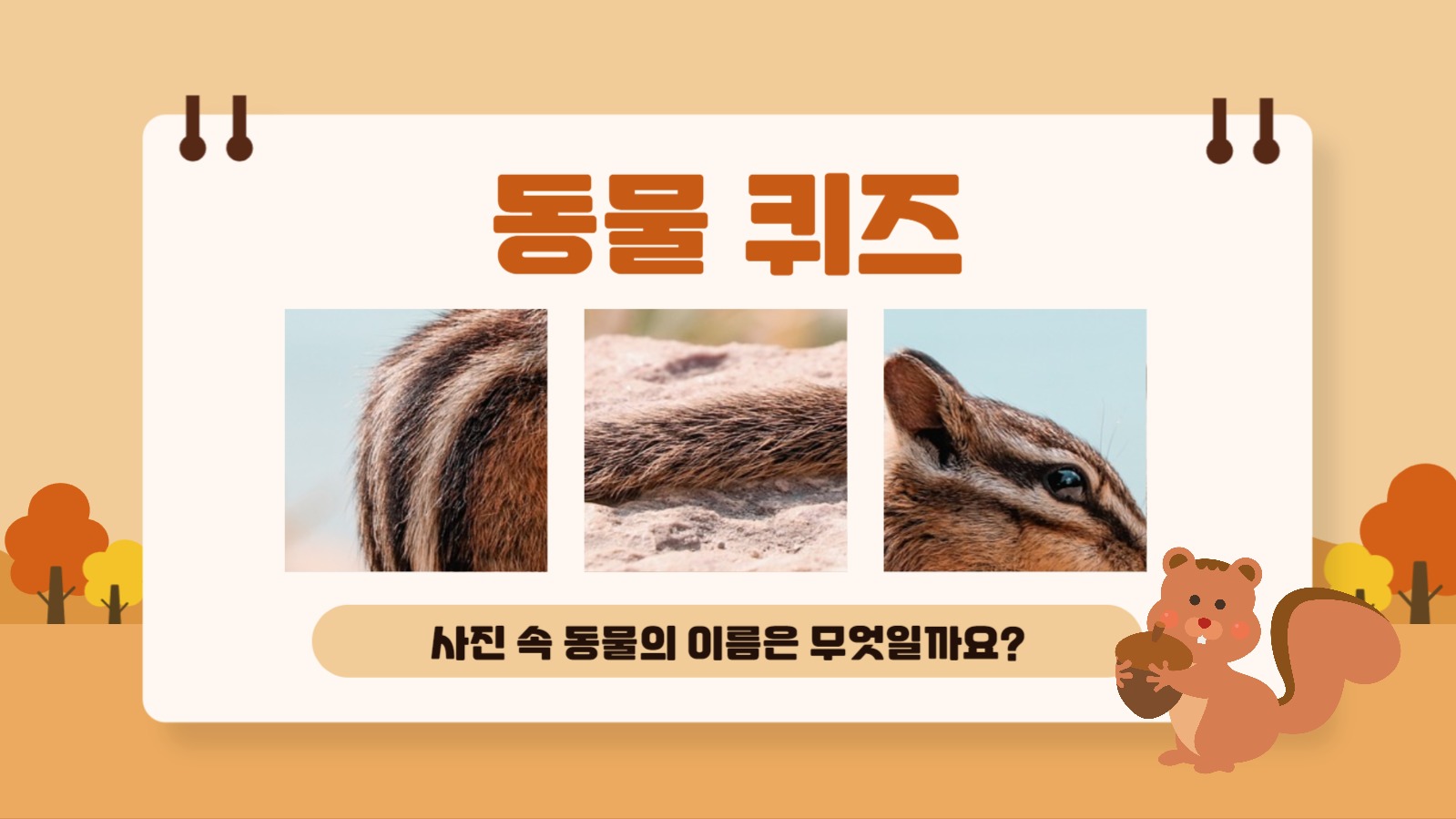 유치원에서 사용하기 좋은 프레젠테이션