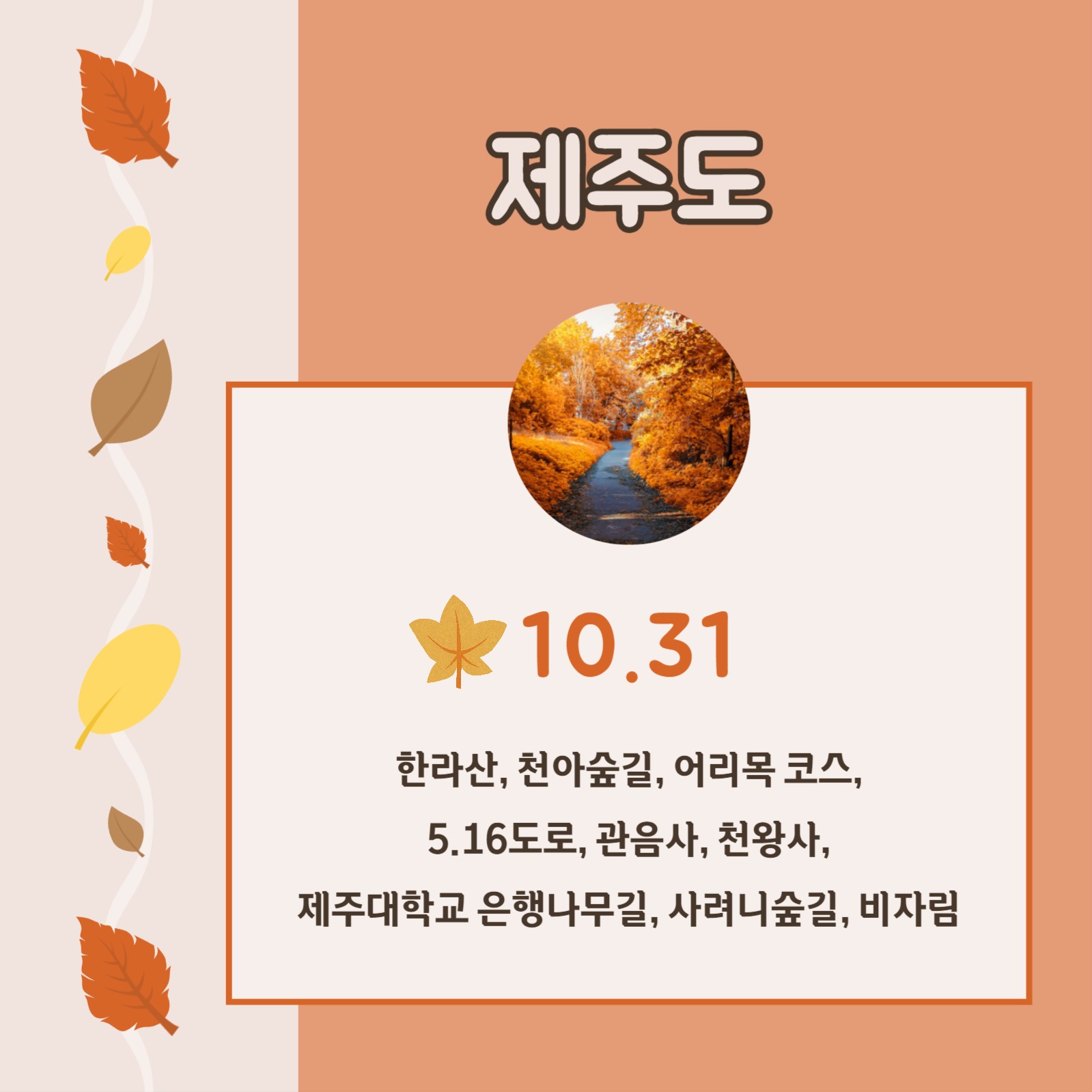 단풍 명소와 절정기 카드뉴스