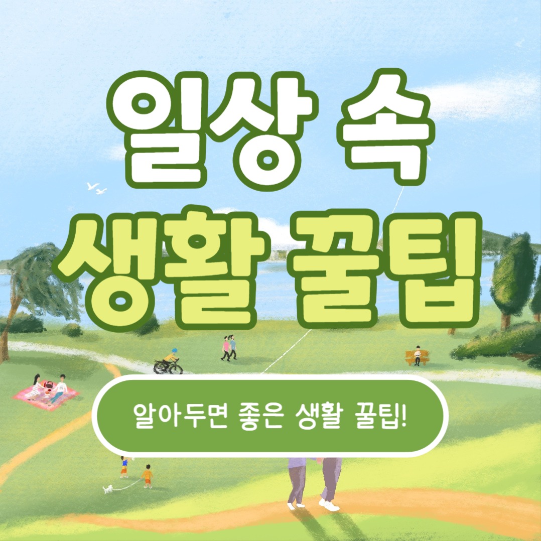 일상 속 생활 꿀팁 (카드뉴스)