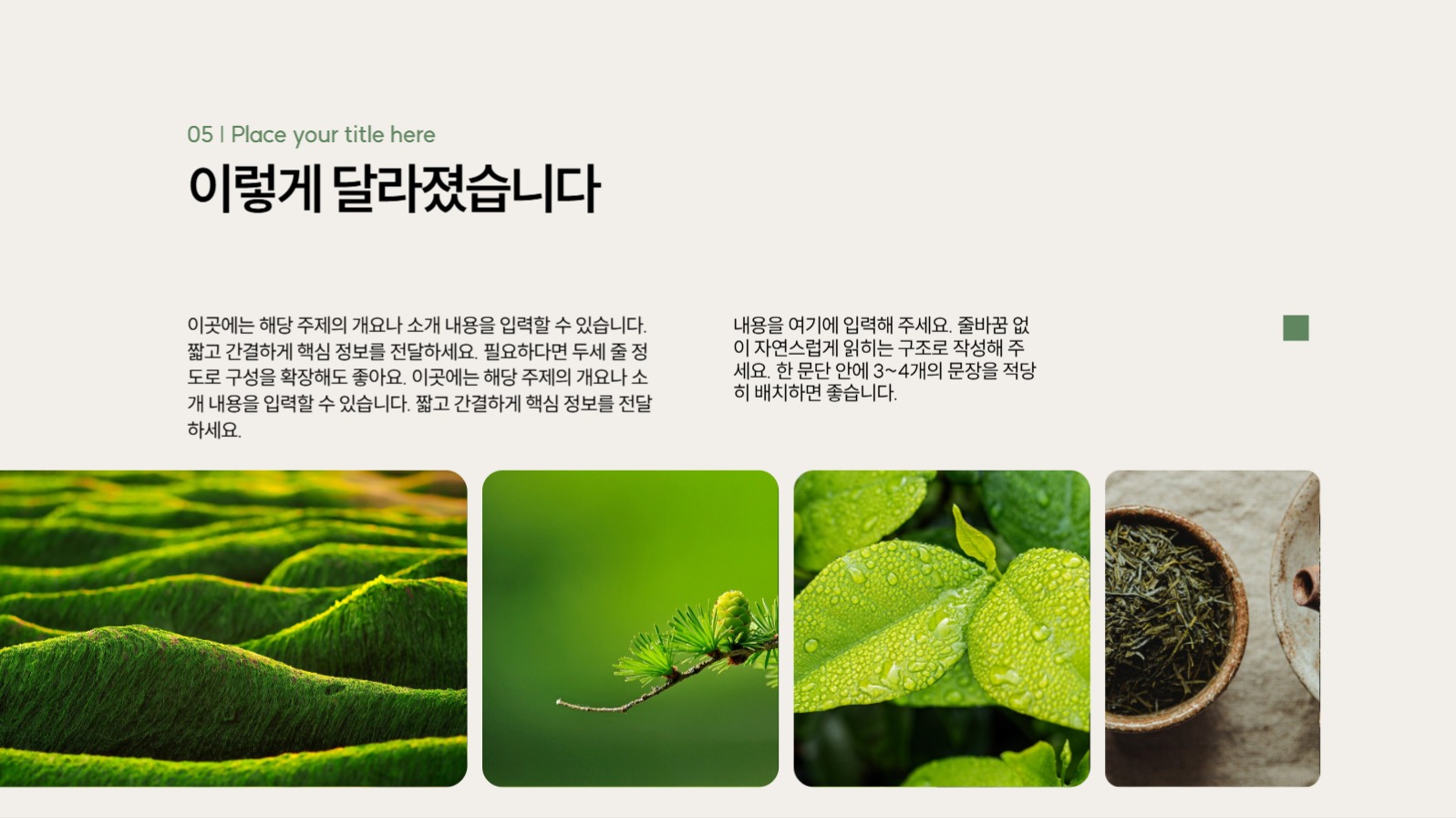 심플 녹색 포인트 프레젠테이션