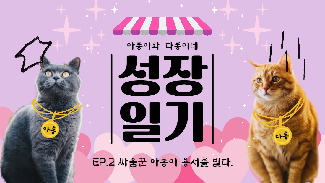 고양이 성장일기