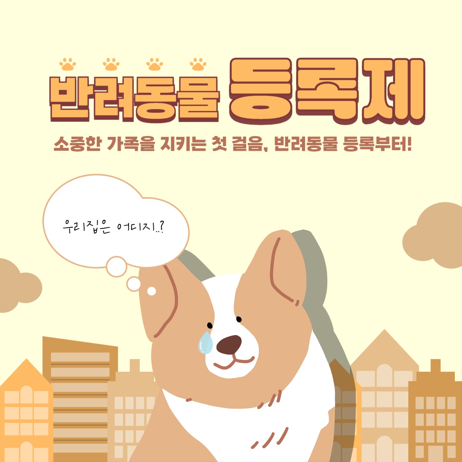 반려동물 등록제