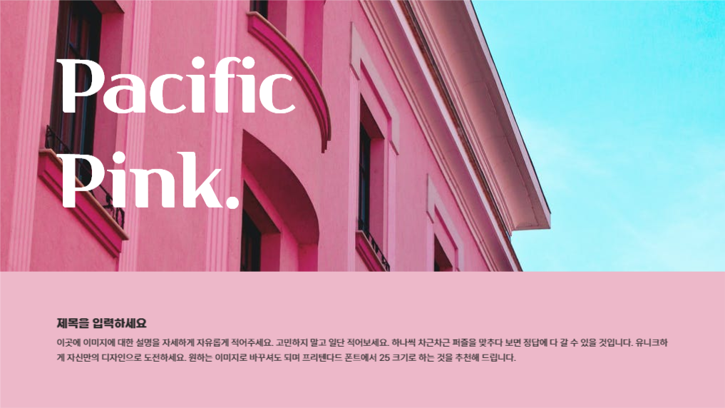 유니크한 퍼시픽 핑크