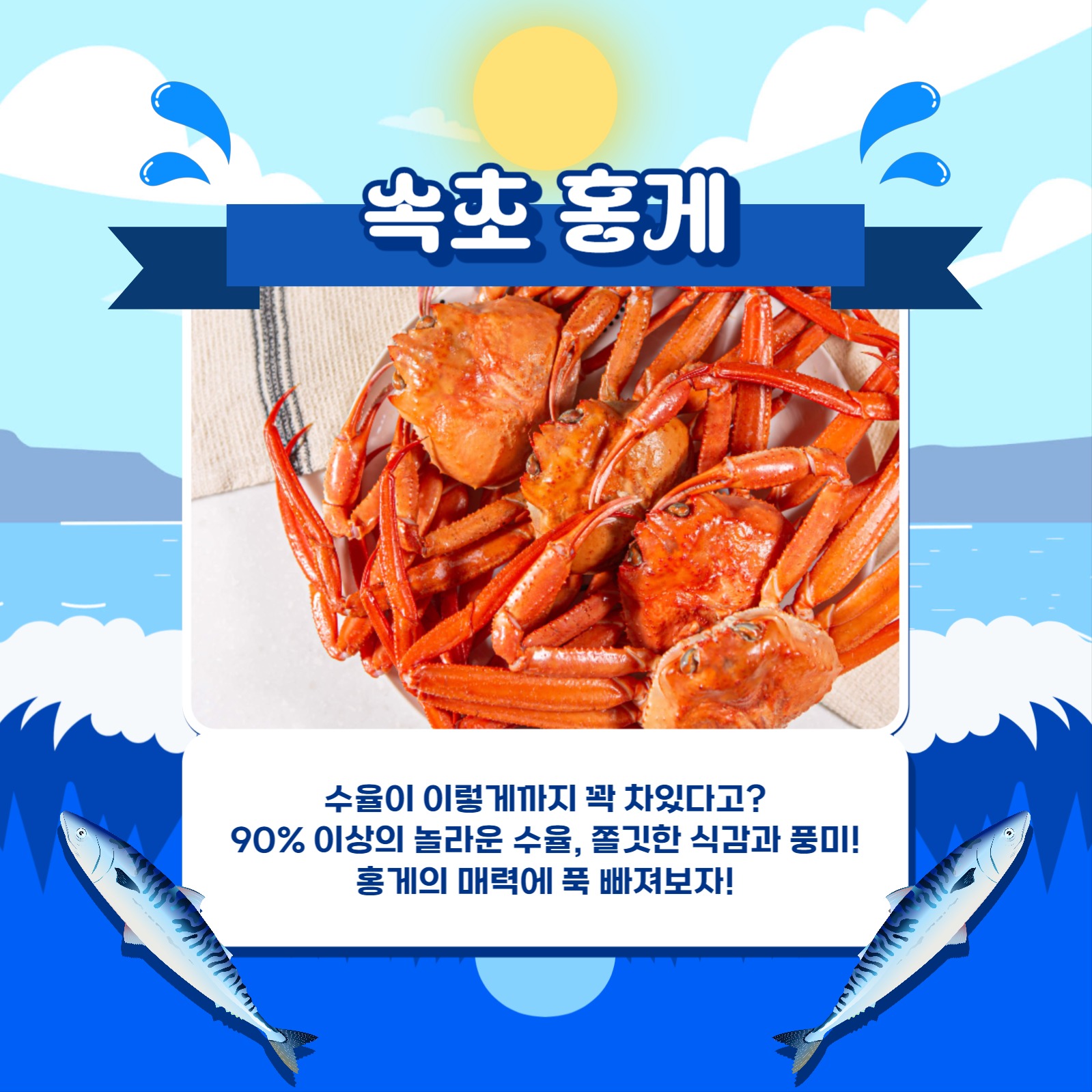 수산물 대잔치 카드뉴스