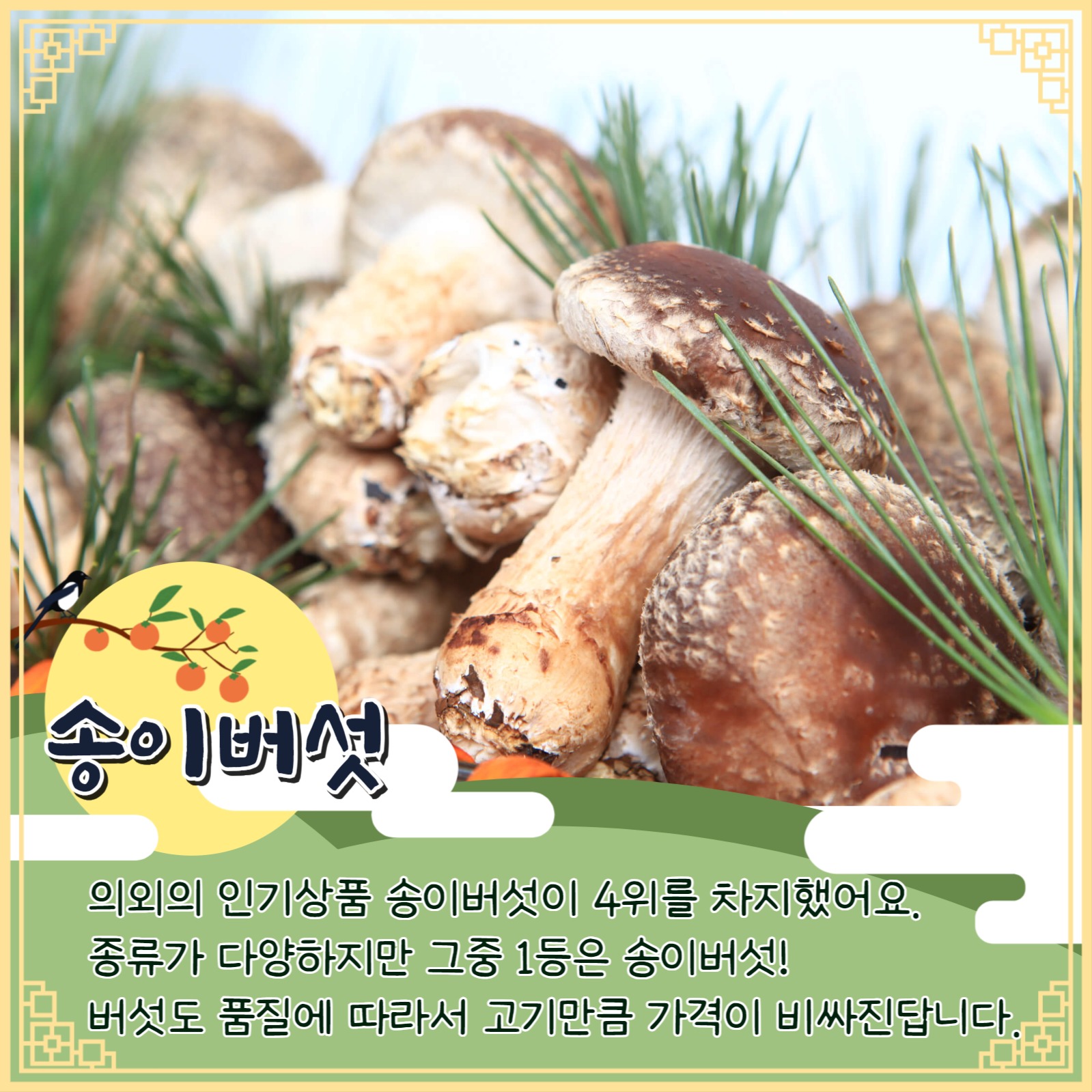 추석선물 인기순위 카드뉴스