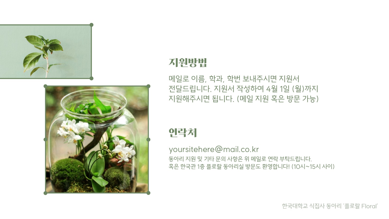 동아리 소개서 프레젠테이션