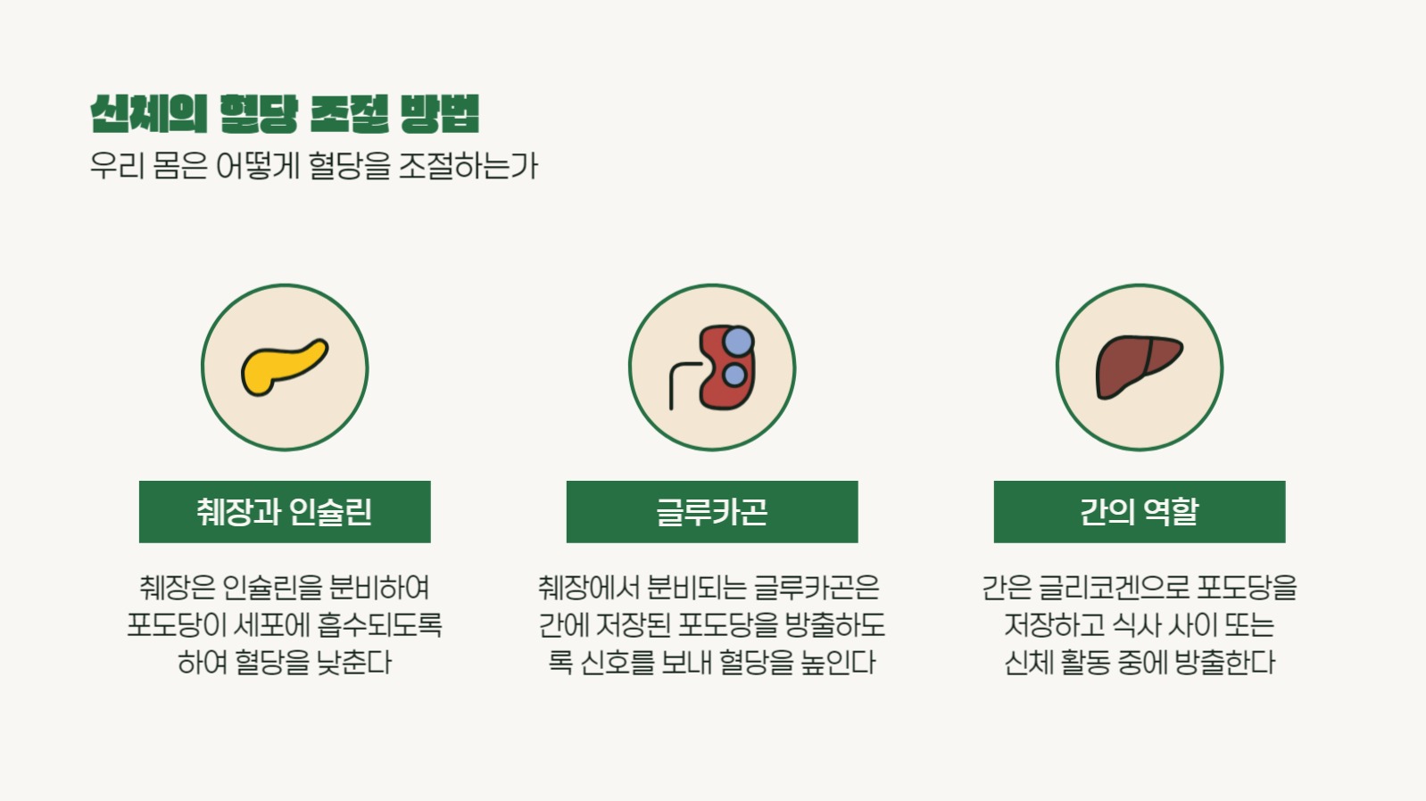 혈당에 대하여 프레젠테이션