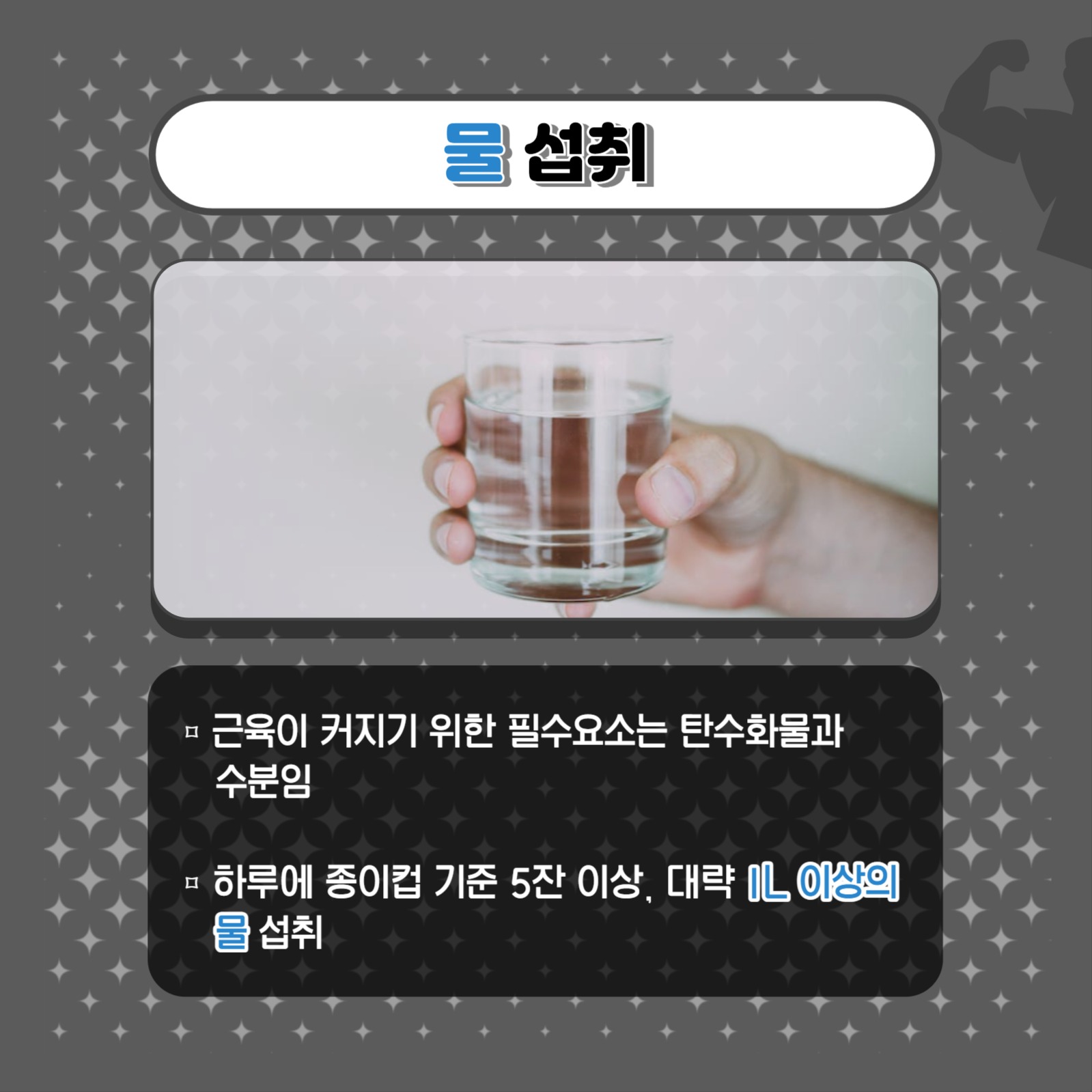 근육량 늘리는 방법 카드뉴스