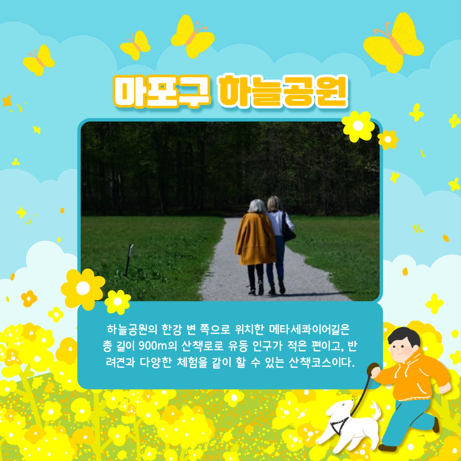 산책코스 카드뉴스