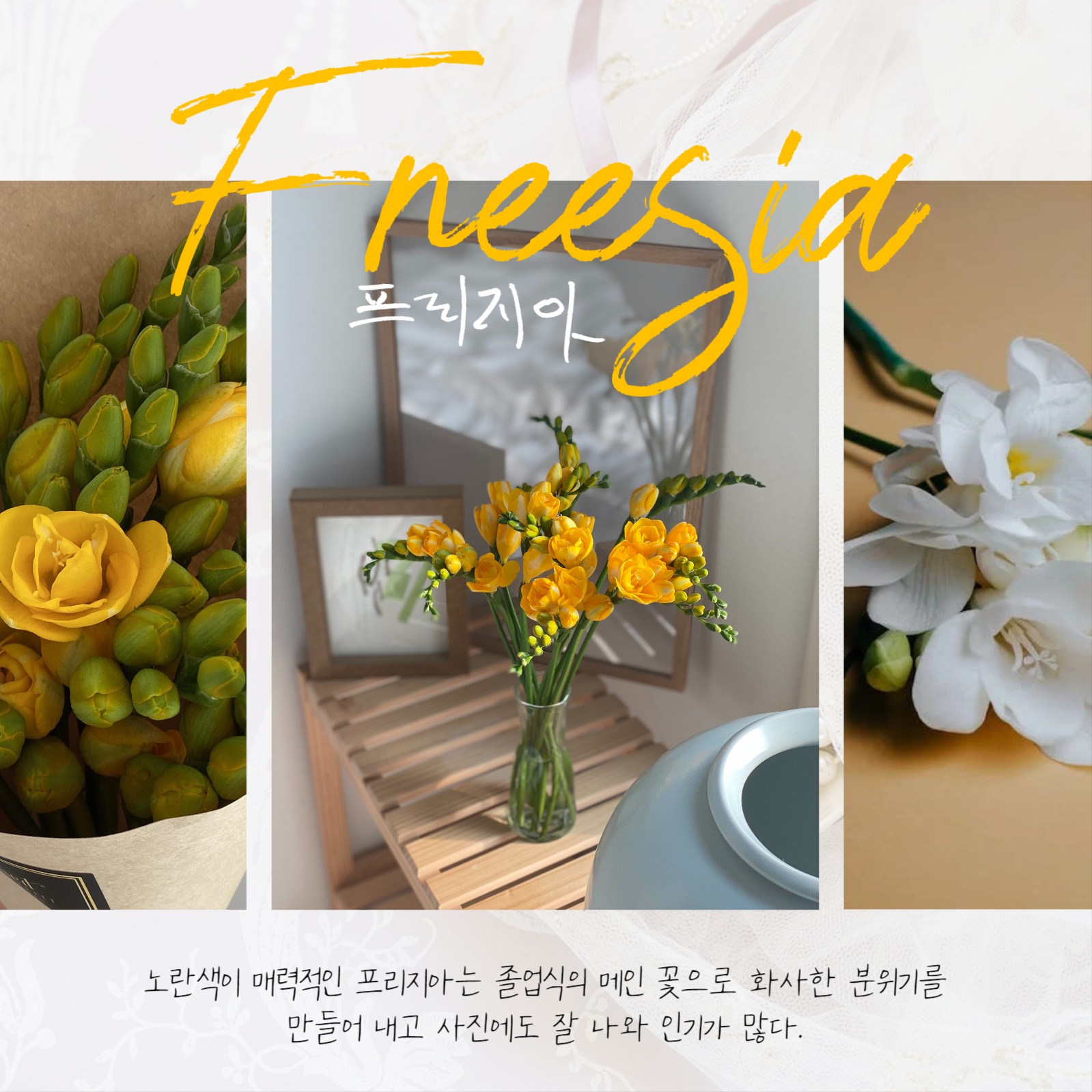 졸업식 꽃다발 추천 꽃집카드뉴스