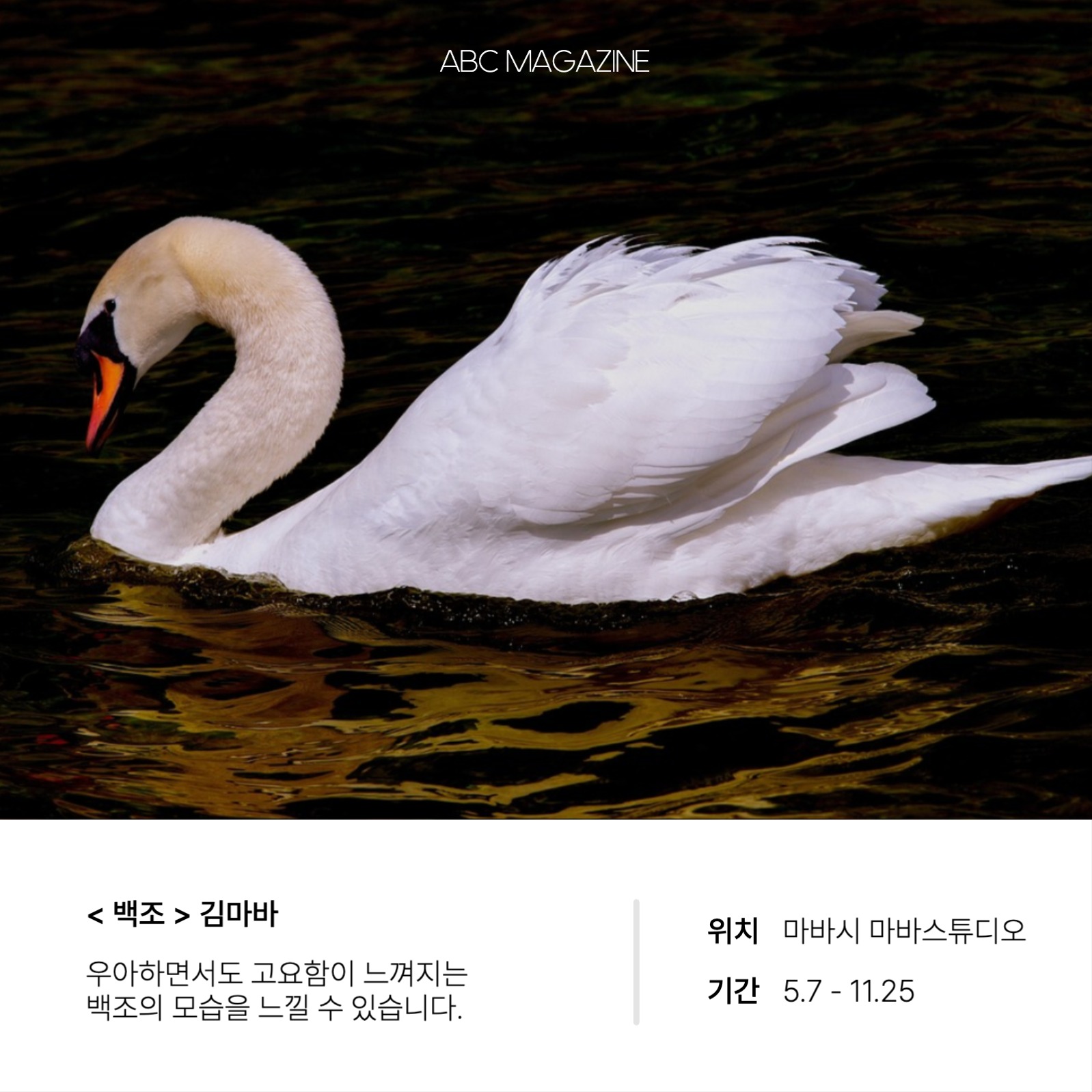 사진전 추천 및 이벤트