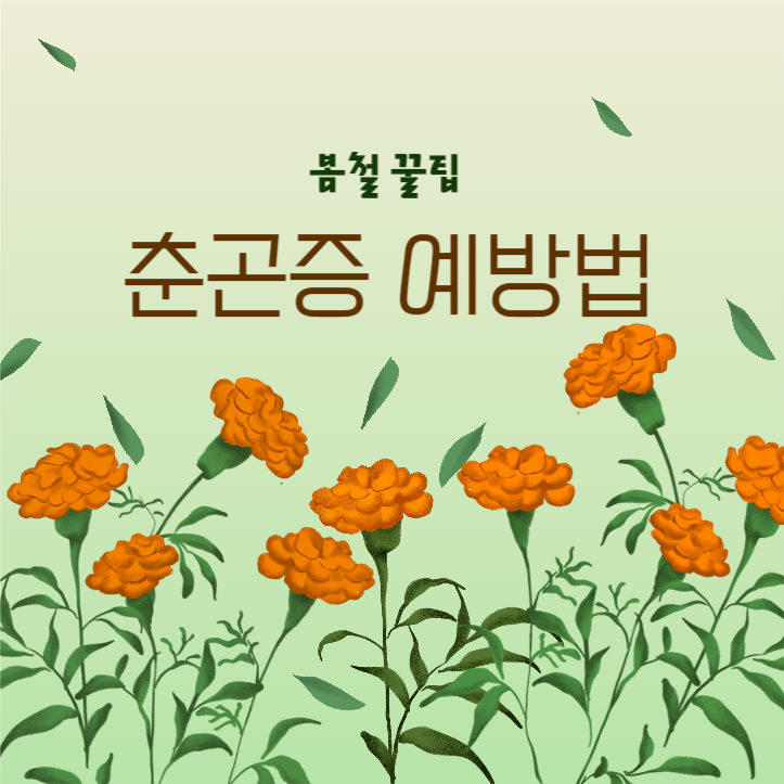 춘곤증 예방법 카드뉴스