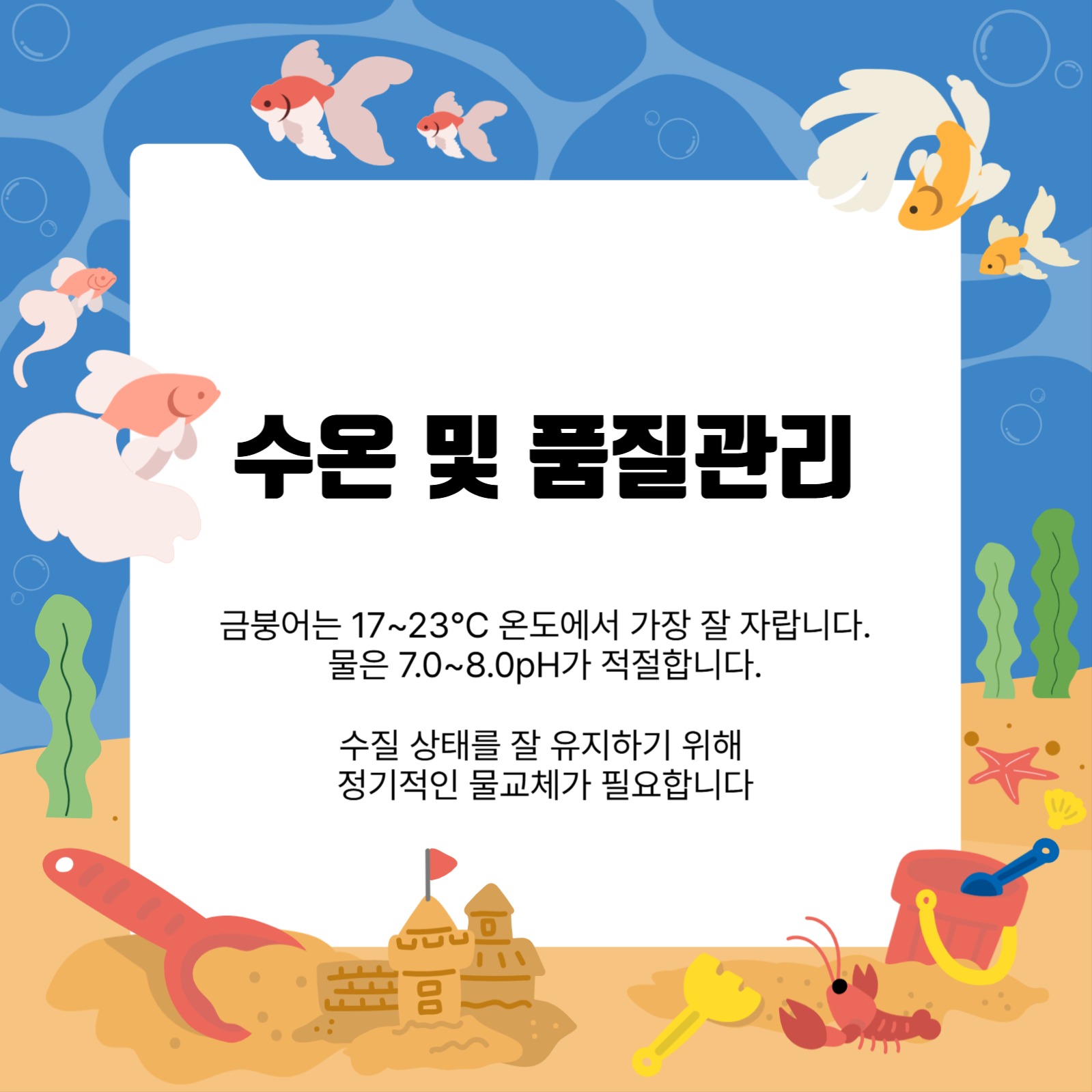 금붕어 키우기 