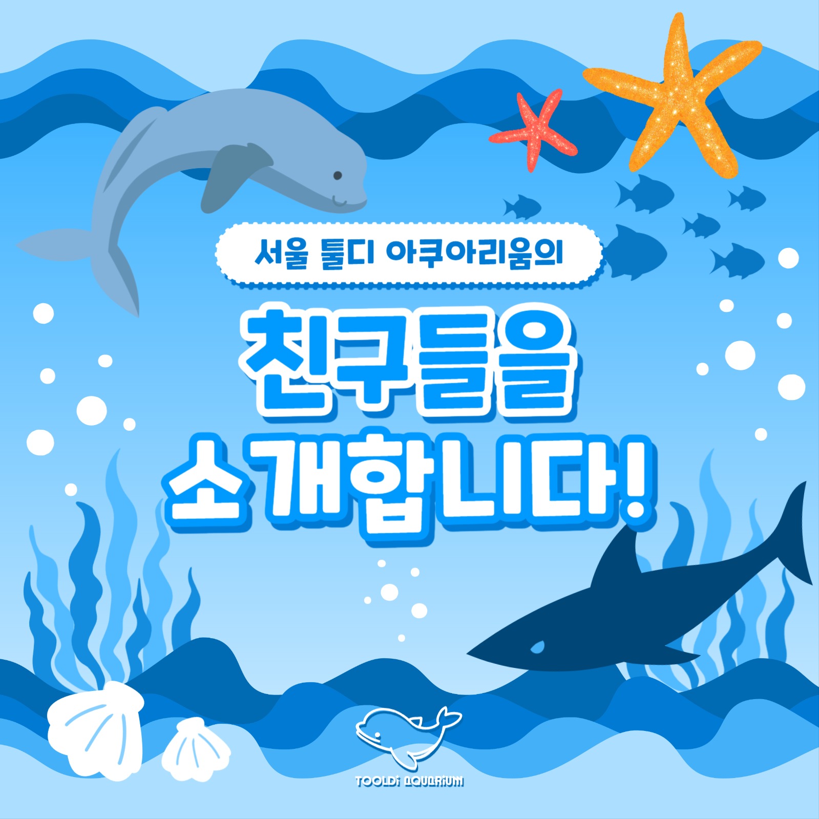 아쿠아리움 홍보 카드뉴스