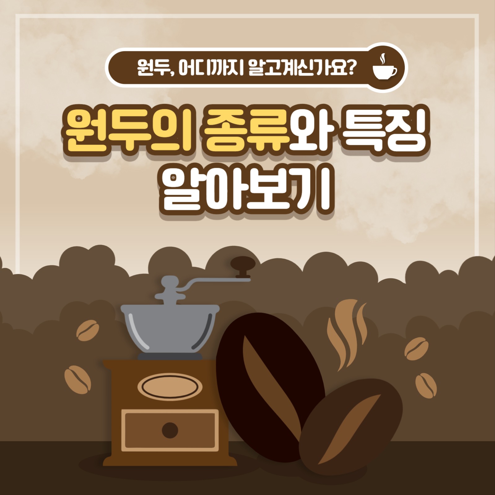 원두의 종류와 특징