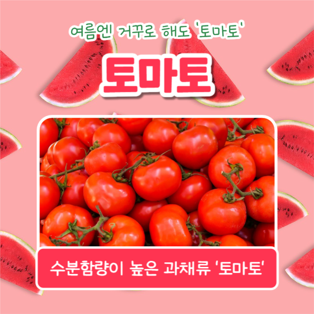 올여름 제철과일 (카드뉴스)