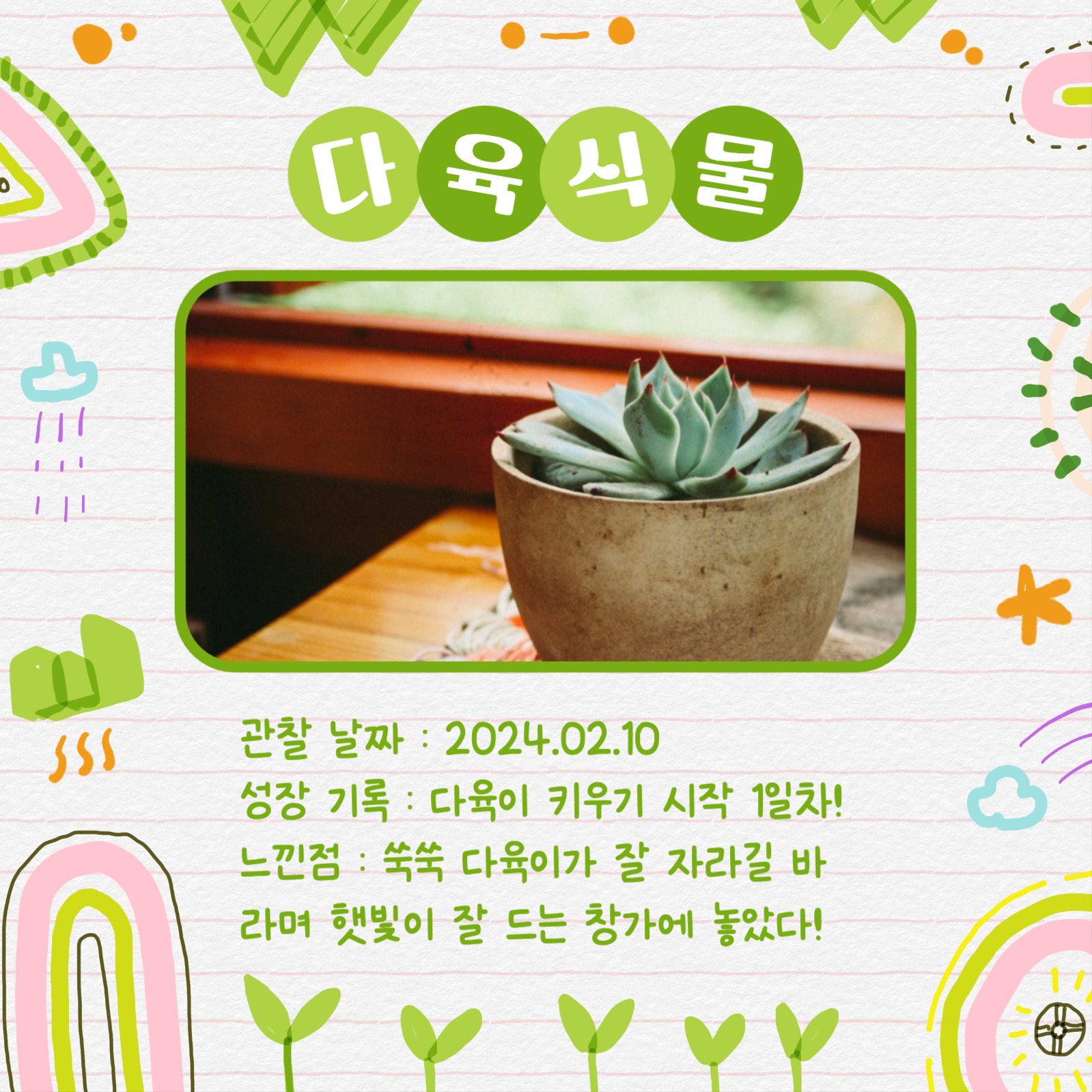 반려식물 관찰일지 카드뉴스