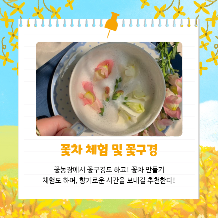 봄에는 봄꽃여행 (카드뉴스)