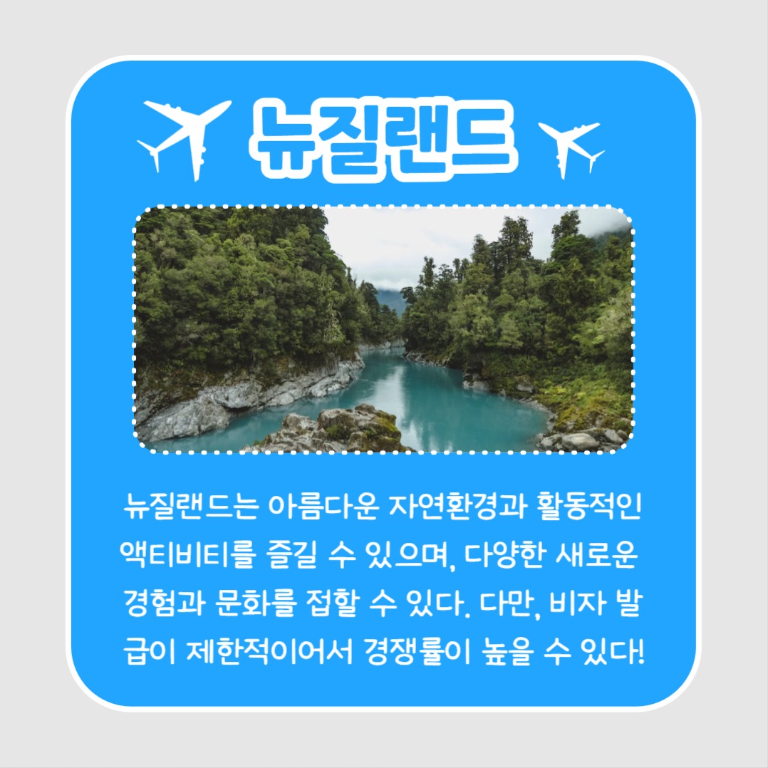 워킹홀리데이 (카드뉴스)