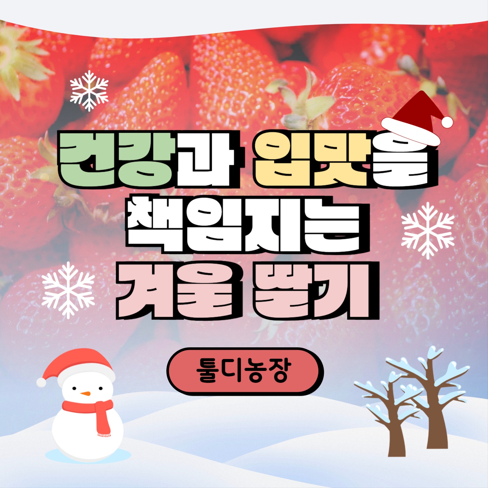 겨울 딸기 템플릿