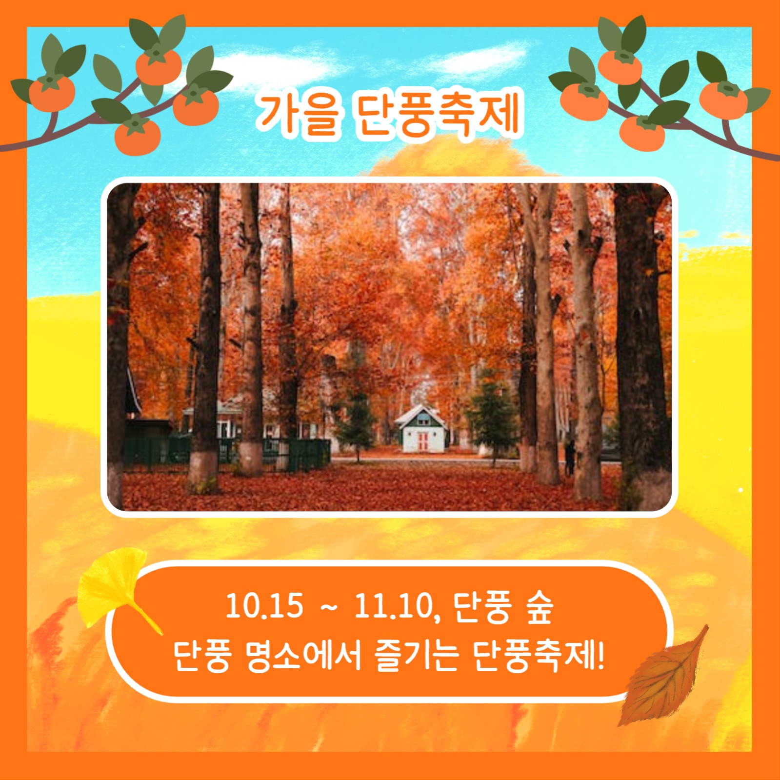 가을축제 모아보기 (카드뉴스)