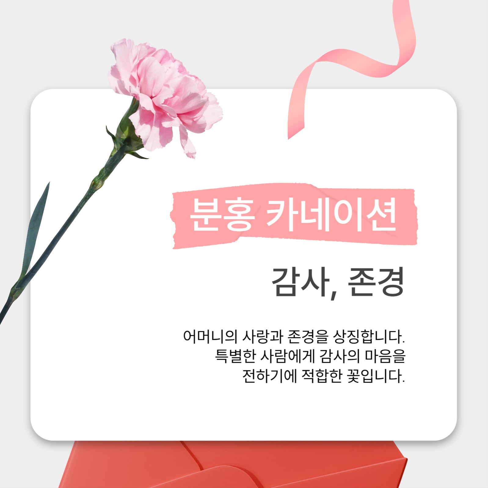 가정의 달 선물 꽃 추천 카드뉴스