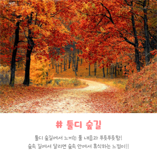 드라이브 명소 추천 (카드뉴스)