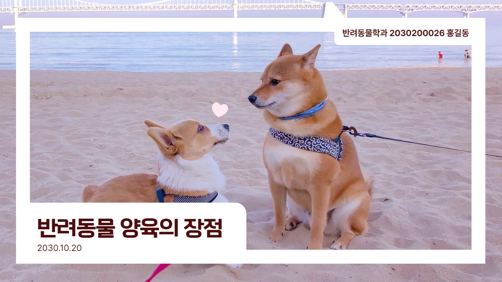 반려동물 양육의 장점