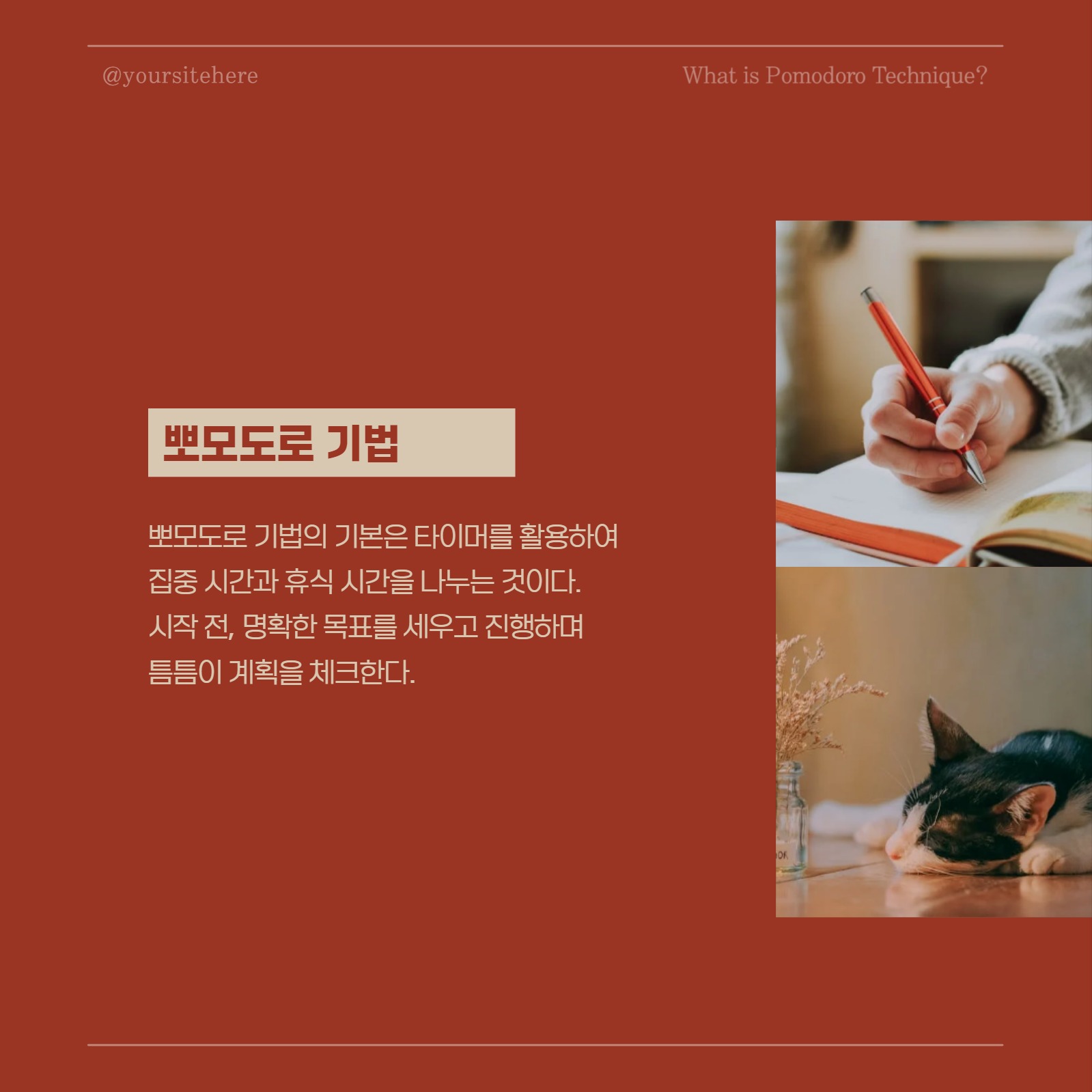 붉은색 심플한 정보 카드뉴스