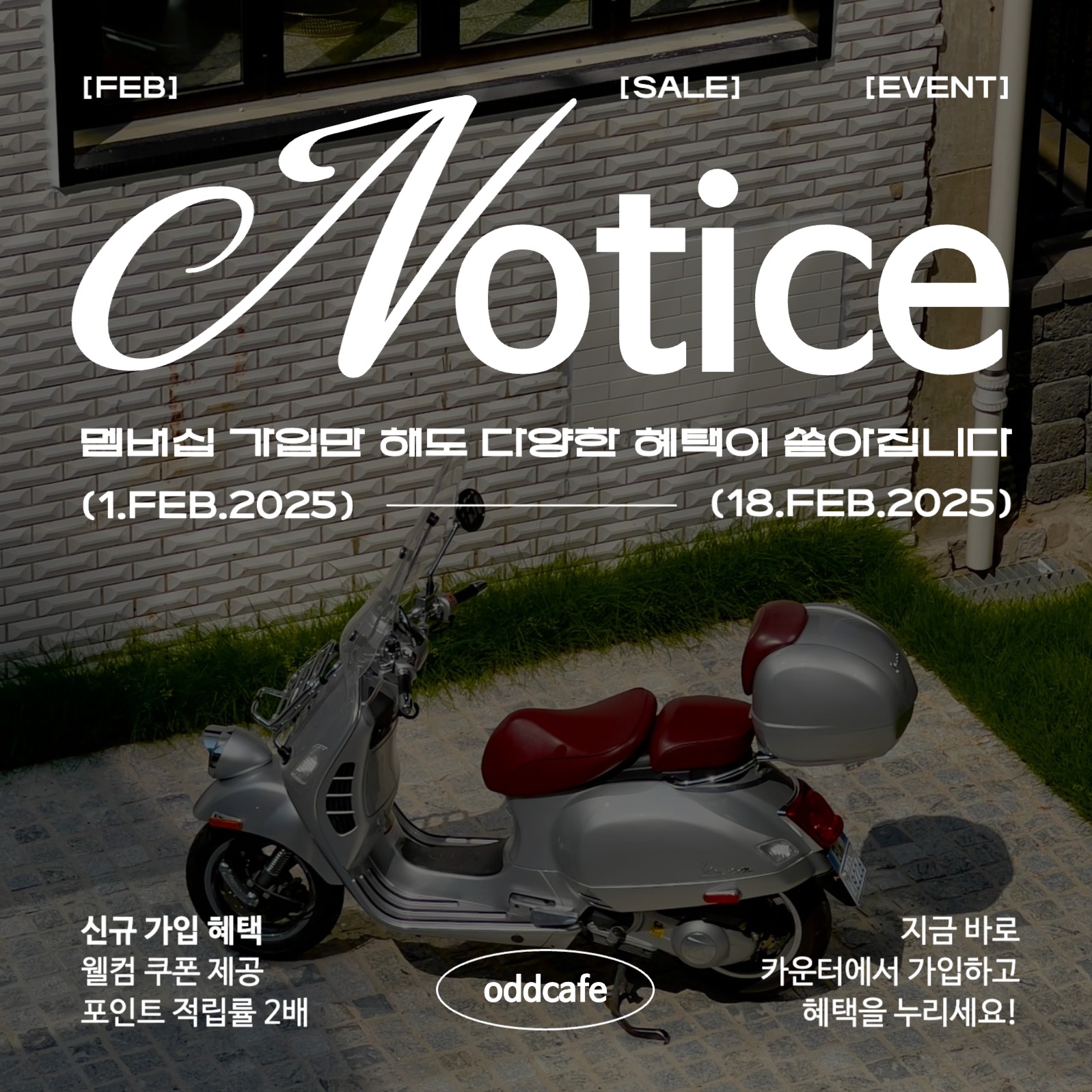 심플하고 트렌디한 카페 공지사항 홍보