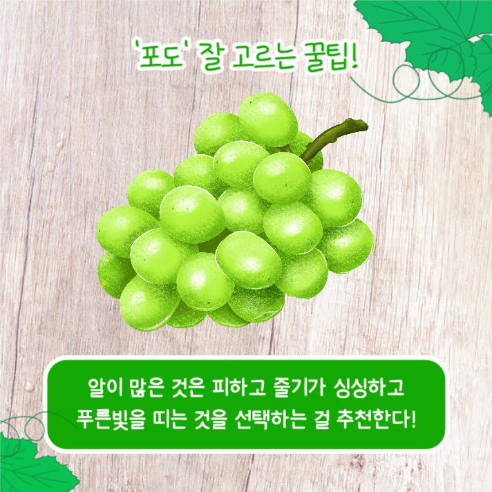 좋은 과일 고르는 꿀팁 (카드뉴스)