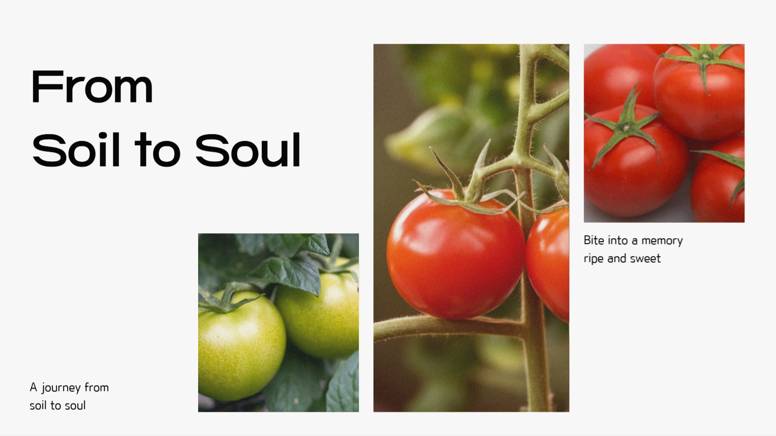 사진을 활용한 감성적인 ppt