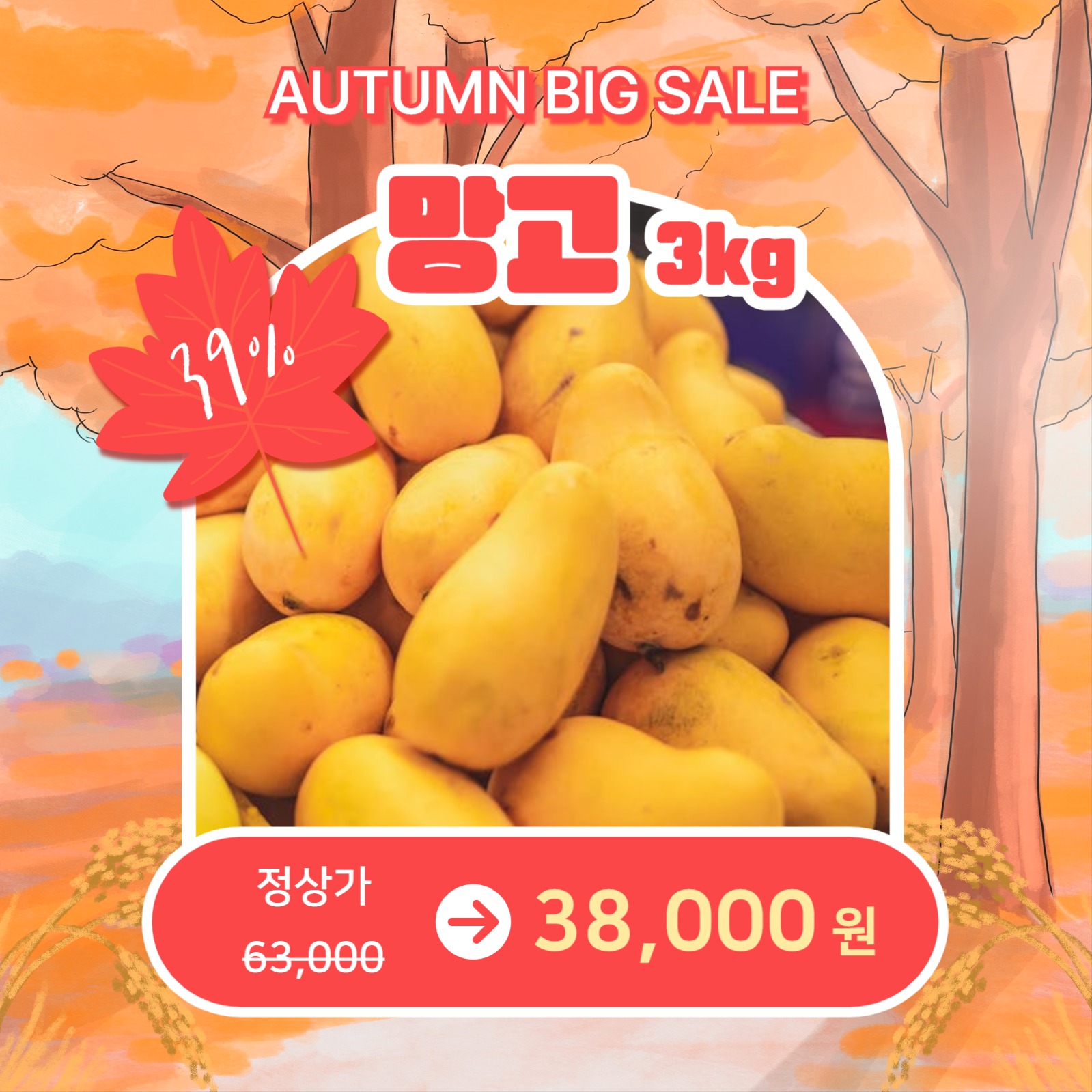 가을맞이 특별할인 (카드뉴스)